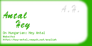 antal hey business card